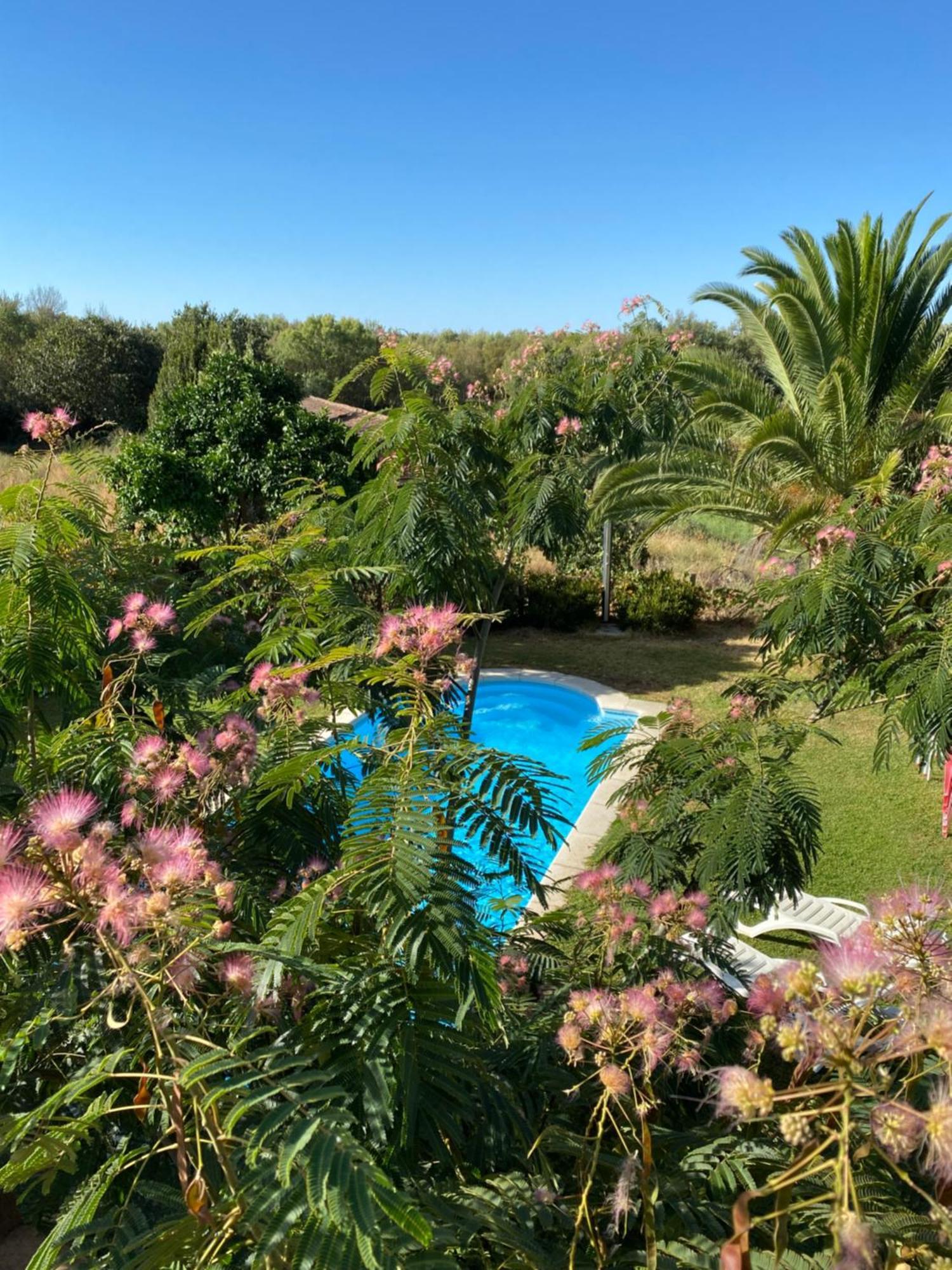 Vila Higueras Y Olivos Candeleda Exteriér fotografie