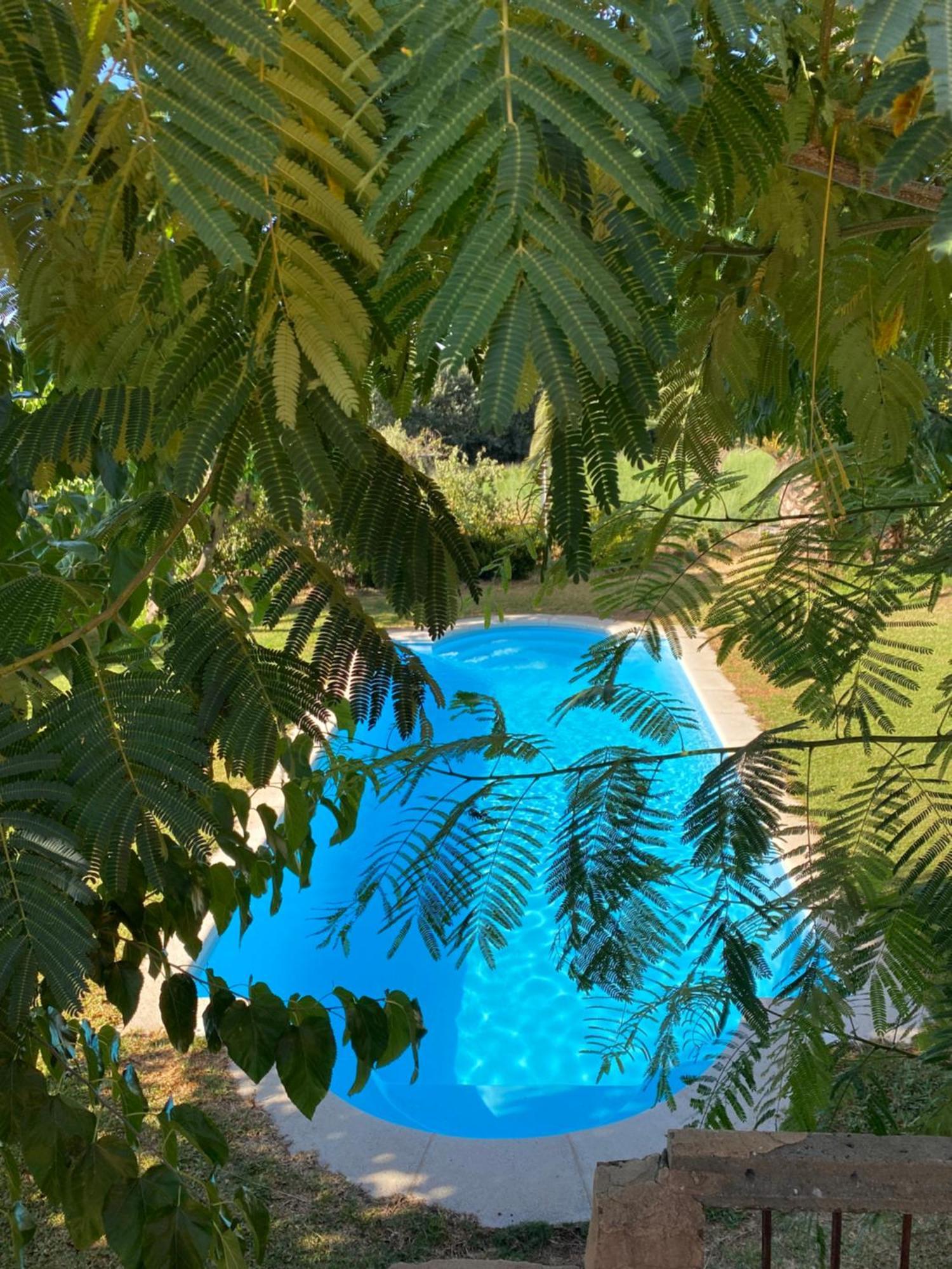 Vila Higueras Y Olivos Candeleda Exteriér fotografie